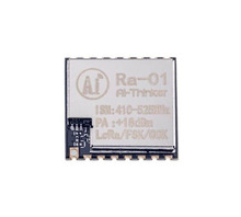 RA-01 Image