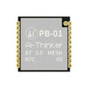 PB-01 Image